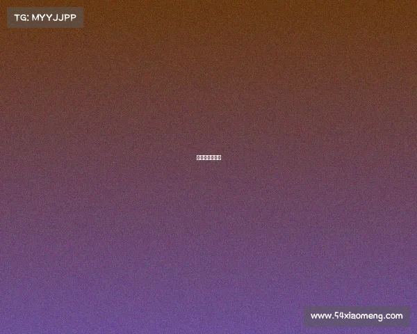 历届法国队阵容